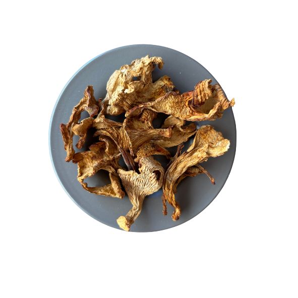 Girolle Premium entière Tubo 400g
