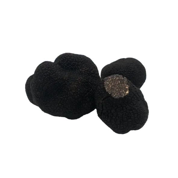 Truffes Noire du Périgord Entière Brossées Extra 1ere cuisson - boîte 4/4