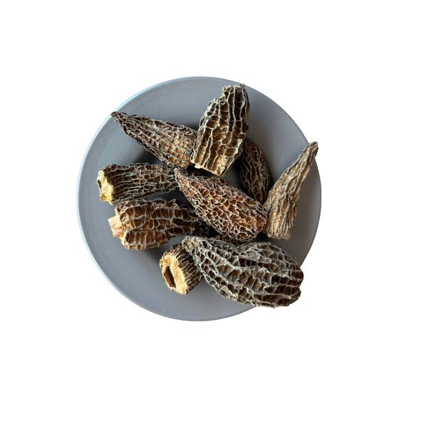 Morille Spéciale Tubo 80g